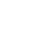 News Live